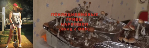 гашик Алзамай